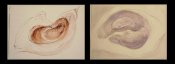 INTERNAL SPACE I, II, 2008, ink on paper
