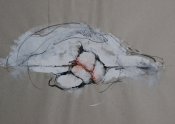 NARRATION OF LIVING, 2009-10, ink on paper, 30x 42 cm (2)