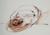 NARRATION OF LIVING, 2009-10, ink on paper, each 30x 42 cm(9)