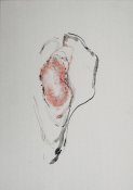 ENERGIE, 2009, tuš,pigment 30x42 cm