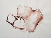 PŘÍBĚHY ŽIVÉHO , 2009-10, lavírovaná kresba, 30x42 cm (5)