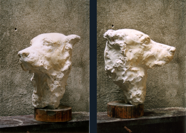 Šimon, 2002, plaster