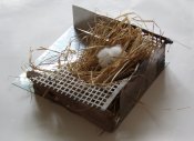 HNÍZDO II., 2006-10,ocelový plech, traviny, umělá vata, dřevo, 42x33x15 cm
